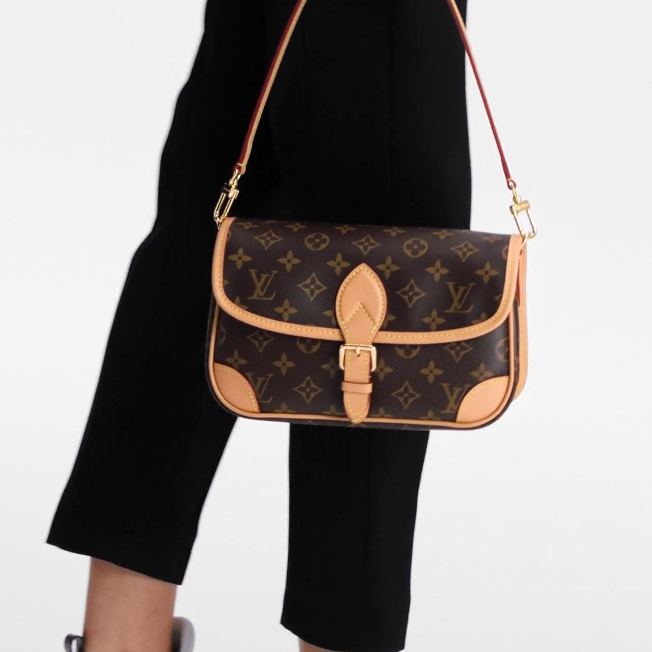 Louis Vuitton M45985 Diane