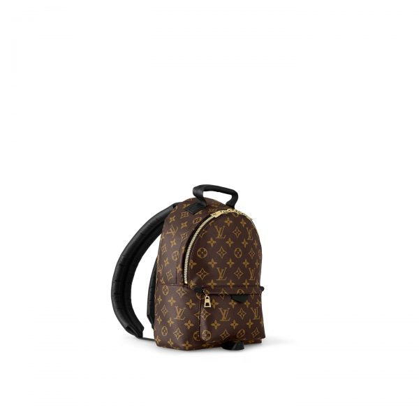 Louis Vuitton Palm Springs PM