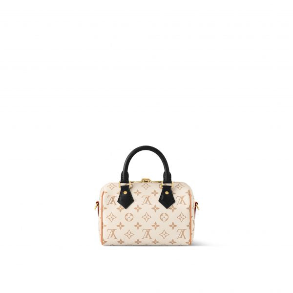 Louis Vuitton Speedy 20 Monogram