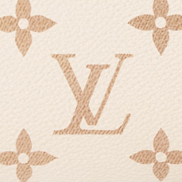 Louis Vuitton Speedy 20 Monogram