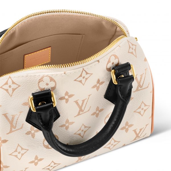 Louis Vuitton Speedy 20 Monogram