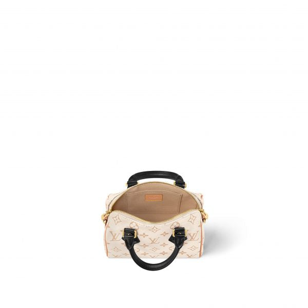 Louis Vuitton Speedy 20 Monogram