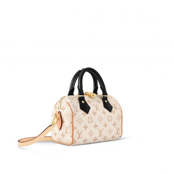 Louis Vuitton Speedy 20 Monogram