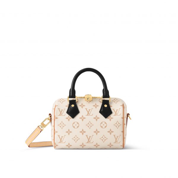Louis Vuitton Speedy 20 Monogram