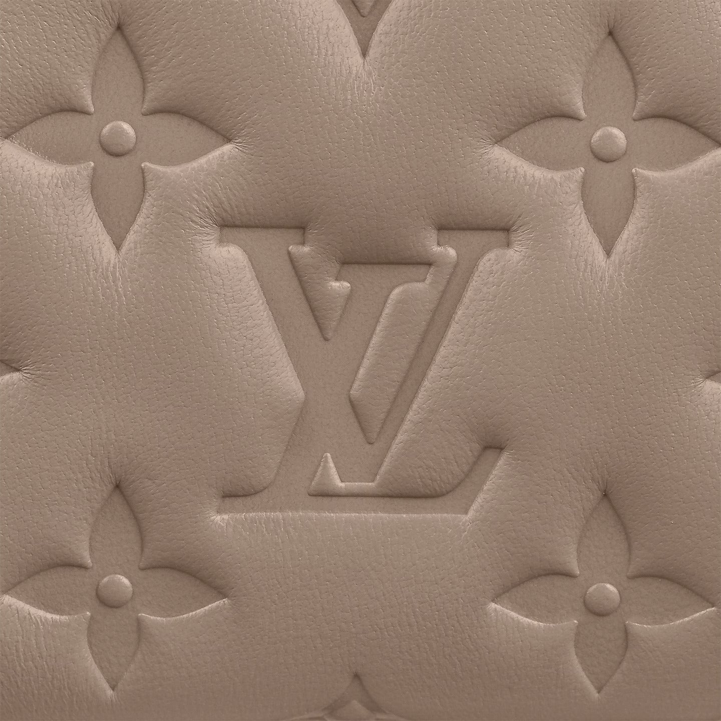 Louis Vuitton Taupe Zippy Wallet