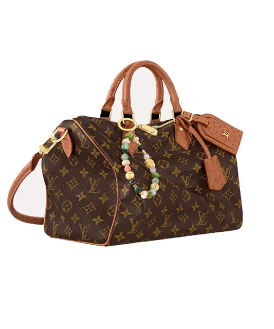 Louis Vuitton Speedy Shoulder Bag Bolsaz
