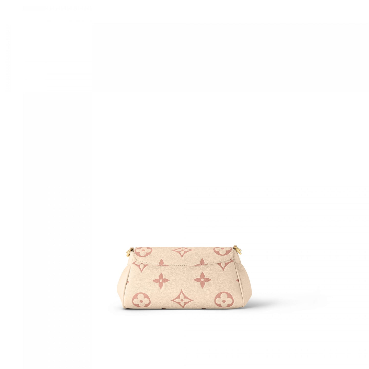 Louis Vuitton Favorite Bag