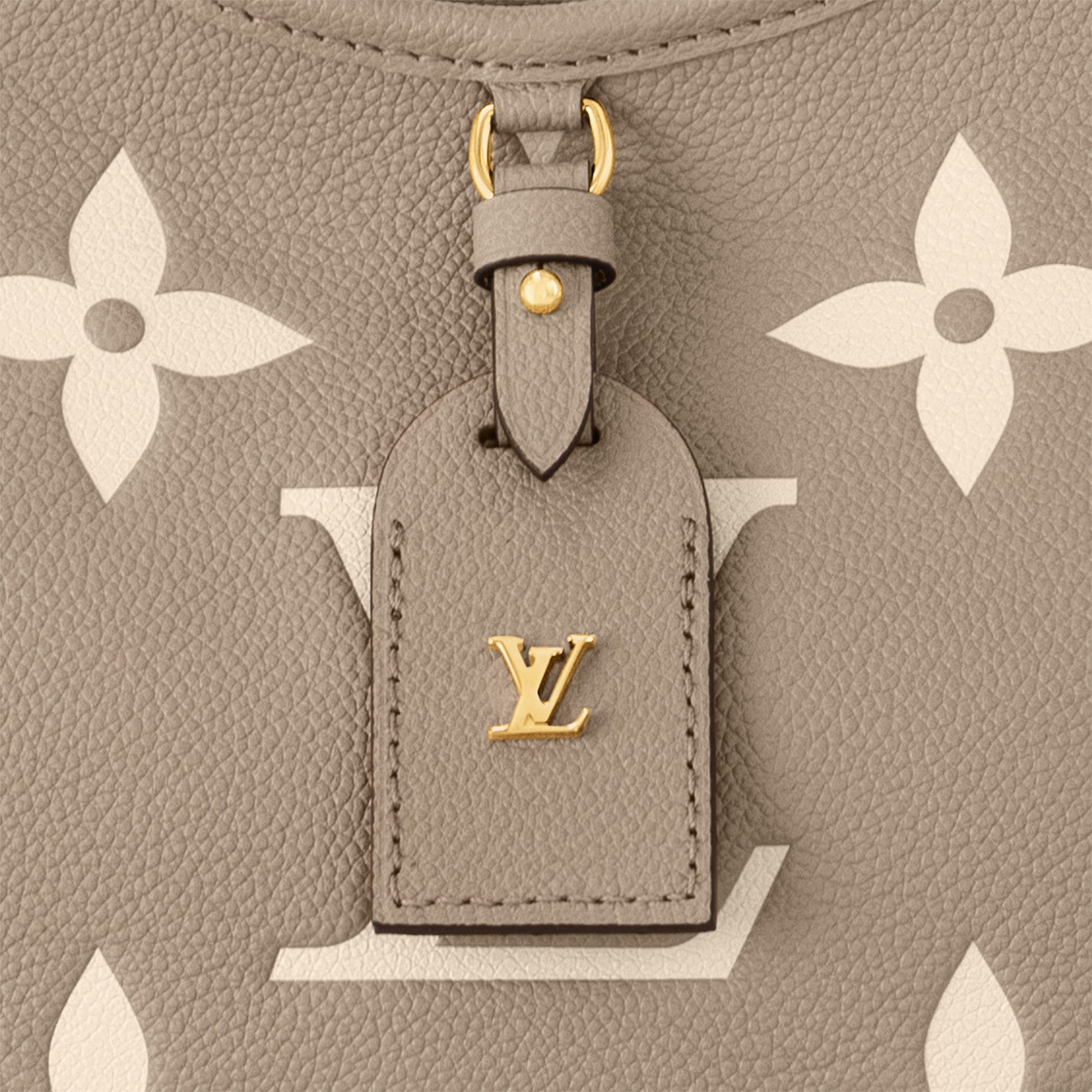 Louis Vuitton CarryAll PM Tourterelle Gray