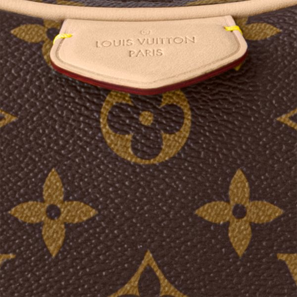 Louis Vuitton Croissant MM Monogram