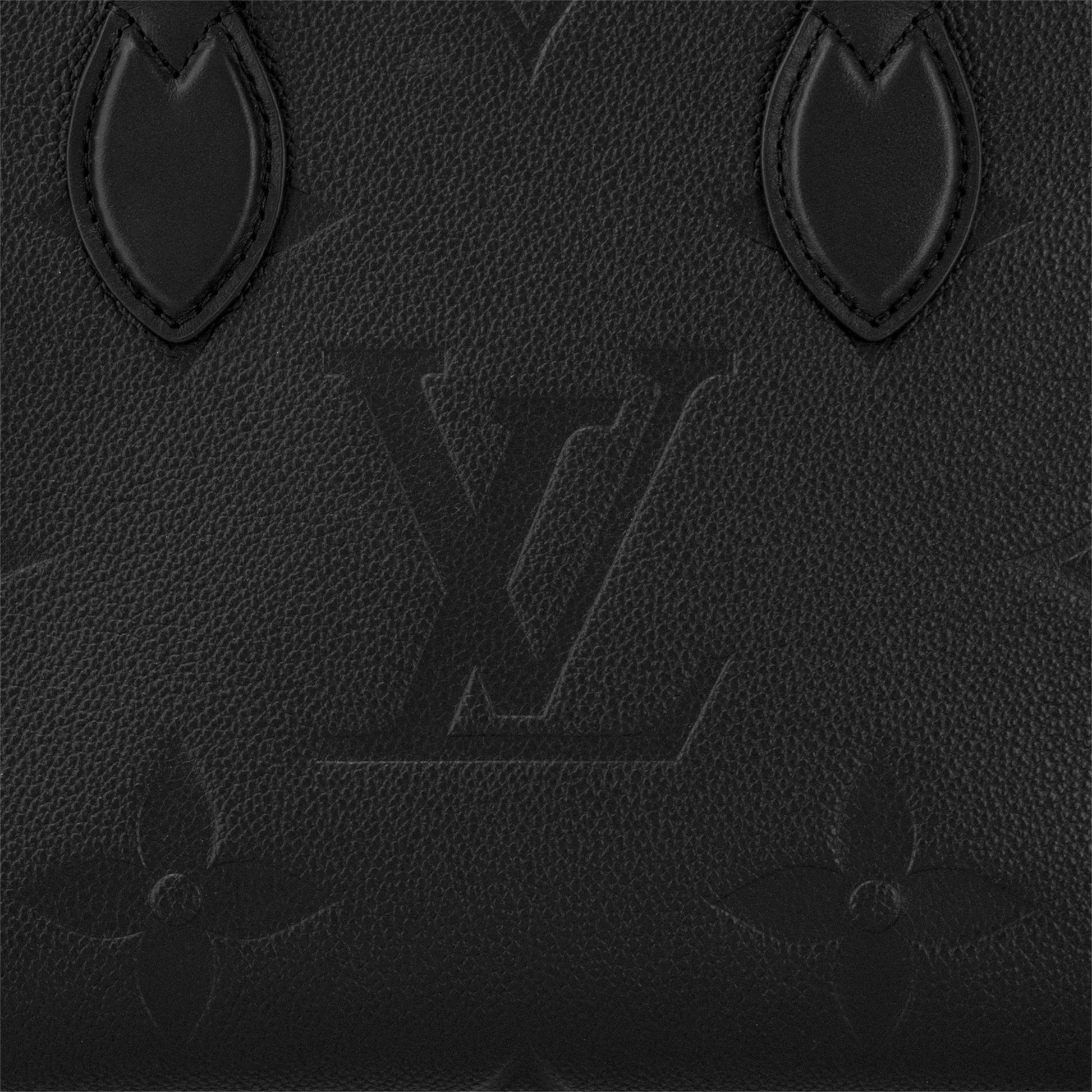 Louis Vuitton OnTheGo PM Bag