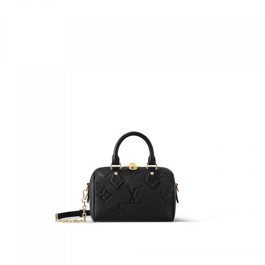 Louis Vuitton Speedy 20 Monogram