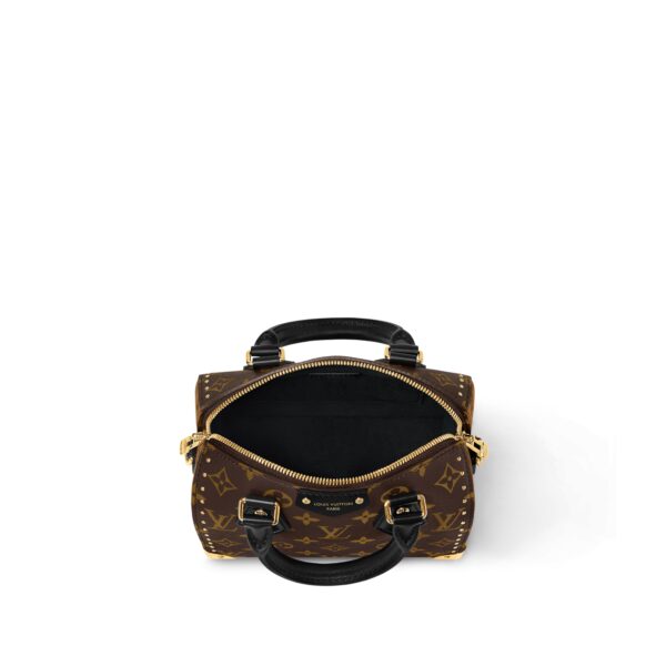 Louis Vuitton Speedy Trunk 20